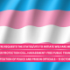 Welfare-Measures-for-Transgender-1190x669
