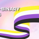Non binary Flag