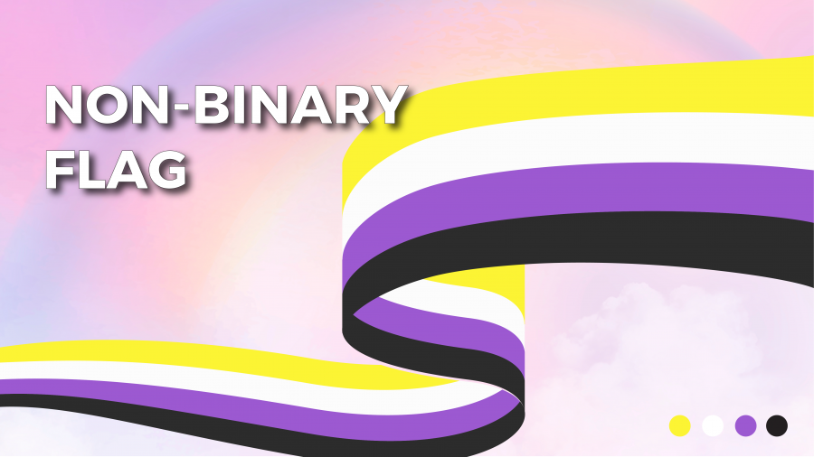 Non binary Flag