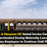 Punjab & Haryana HC Stated Service Cannot Be Terminated During Maternity Leave; Temporary Employees to Continue Until Post Exists